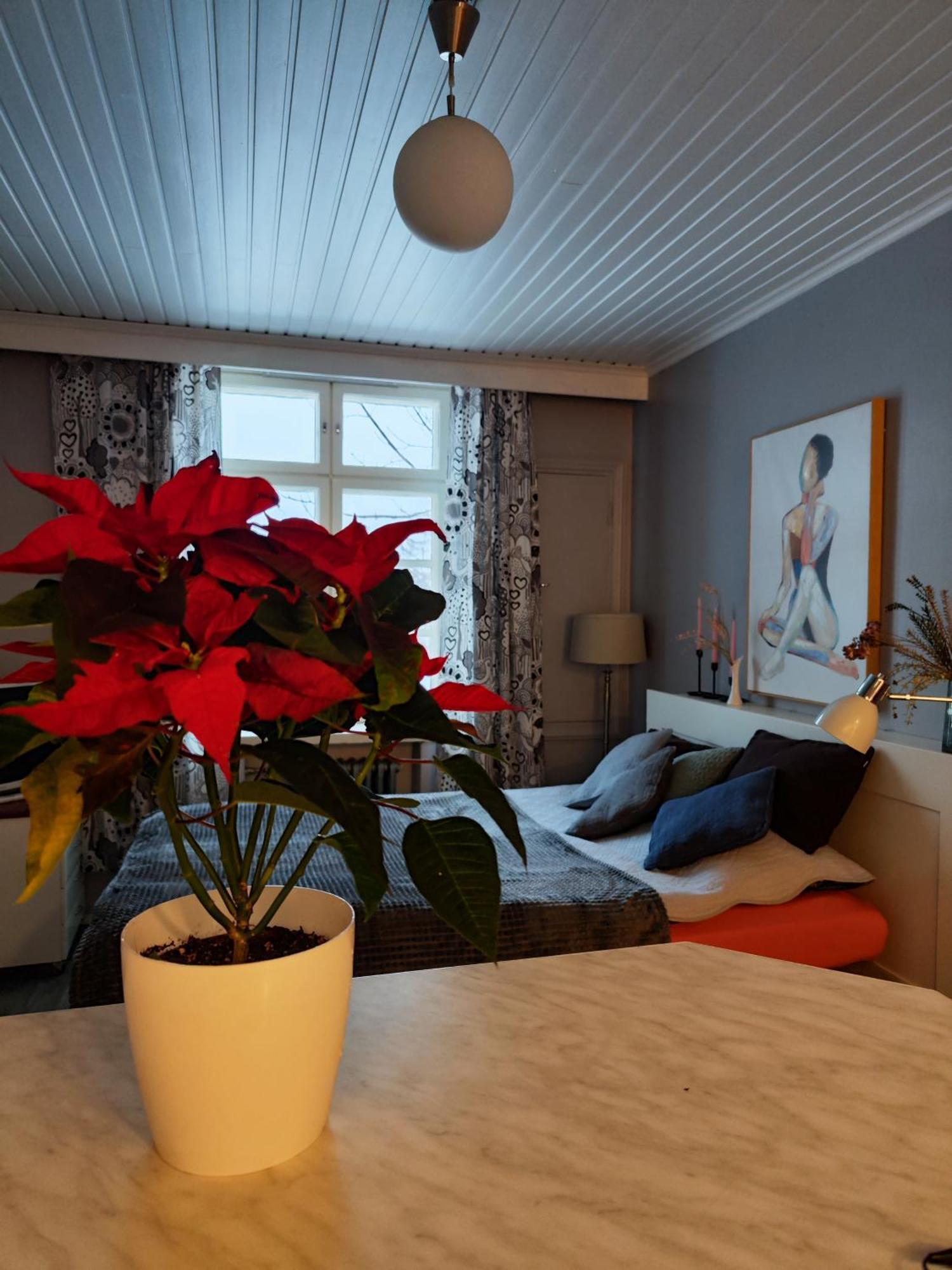 הלסינקי Studio In Kallio מראה חיצוני תמונה